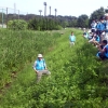 写真6　多々良沼周辺で行われた自然観察会